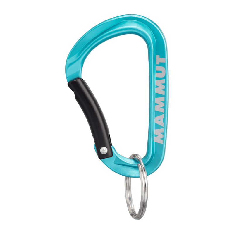 Load image into Gallery viewer, Mammut Mini Carabiner Classic Keylock
