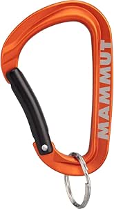 Load image into Gallery viewer, Mammut Mini Carabiner Classic Keylock
