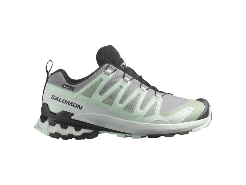 Load image into Gallery viewer, Salomon XA Pro 3D V9 Women&#39;s GTX Hiking Shoe
