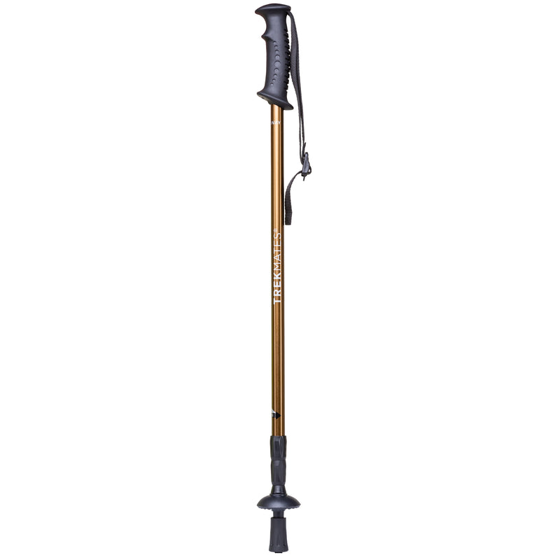 Load image into Gallery viewer, Trekmates Walker Lock Pole Junior
