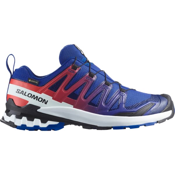 Load image into Gallery viewer, Salomon XA Pro 3D V9 Mens GTX Equipe

