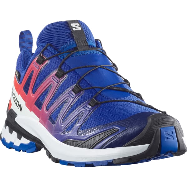 Load image into Gallery viewer, Salomon XA Pro 3D V9 Mens GTX Equipe
