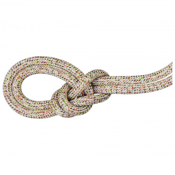 Load image into Gallery viewer, Mammut 9.5 Crag "We Care" Classic Rope
