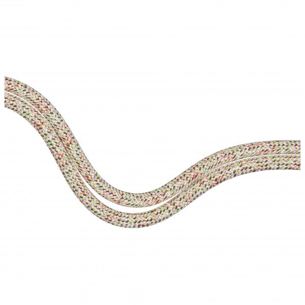 Load image into Gallery viewer, Mammut 9.5 Crag "We Care" Classic Rope
